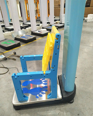 SH-700兒童全自動(dòng)超聲波身高體重坐高秤